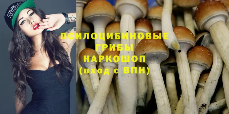 OMG зеркало  Миньяр  Галлюциногенные грибы MAGIC MUSHROOMS 